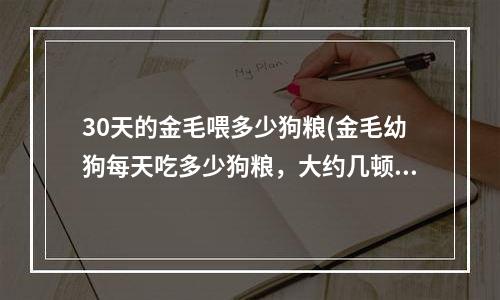 30天的金毛喂多少狗粮(金毛幼狗每天吃多少狗粮，大约几顿，每顿多少？)