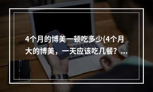 4个月的博美一顿吃多少(4个月大的博美，一天应该吃几餐？)