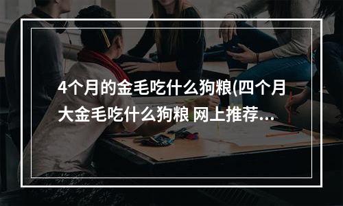 4个月的金毛吃什么狗粮(四个月大金毛吃什么狗粮 网上推荐几家)