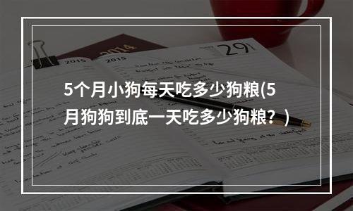 5个月小狗每天吃多少狗粮(5月狗狗到底一天吃多少狗粮？)