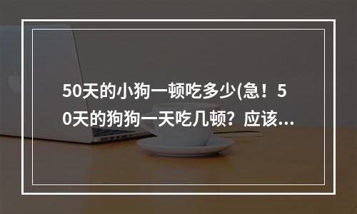 50天的小狗一顿吃多少(急！50天的狗狗一天吃几顿？应该喂他们什么？如果喂狗粮，什么牌子好？)