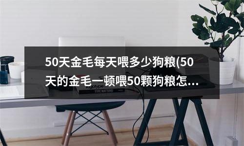 50天金毛每天喂多少狗粮(50天的金毛一顿喂50颗狗粮怎么样？一天4顿)