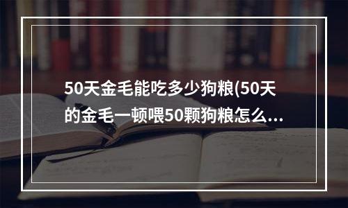 50天金毛能吃多少狗粮(50天的金毛一顿喂50颗狗粮怎么样？一天4顿)