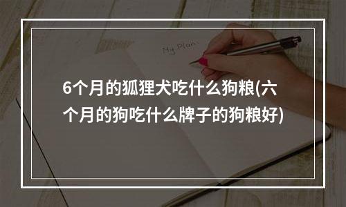 6个月的狐狸犬吃什么狗粮(六个月的狗吃什么牌子的狗粮好)